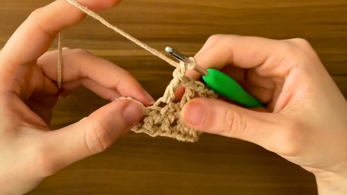 Easy Crochet Phone Bag Pattern 4