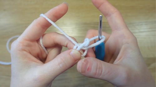 Easy Crochet Tulip Flower Pattern 1