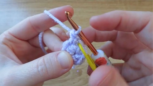 Easy Crochet Tulip Flower Pattern 3