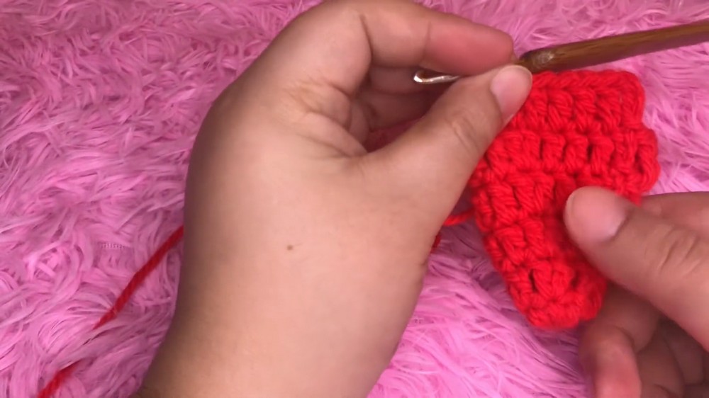 Crochet Christmas Hat