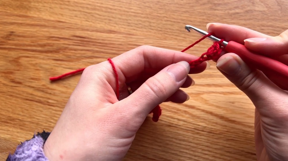 Crochet Christmas Cat Cape