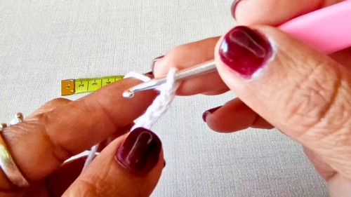 Super Crochet Crop Top Pattern 1