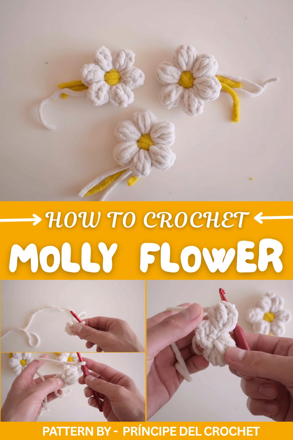 TRY THESE FLOWERS and choose your favorite