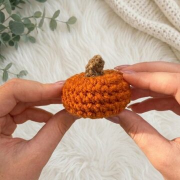 Cute Crochet Mini Pumpkin Pattern 6