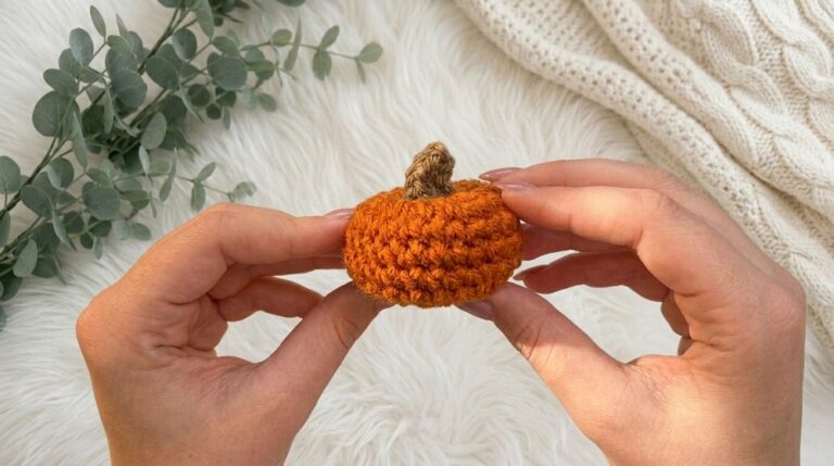 Cute Crochet Mini Pumpkin Pattern 6