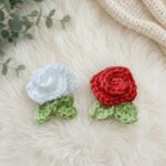 Beautiful Crochet Mini Rose Pattern 6