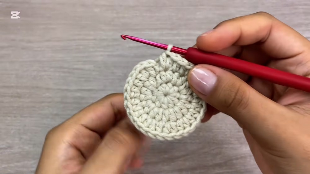 Crochet Apple Coin Purse Pattern 2