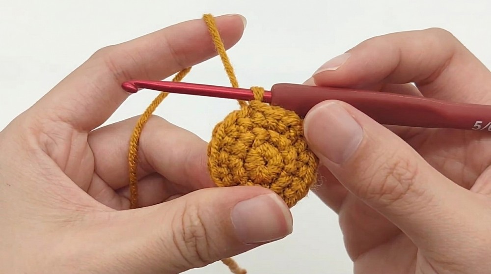 Crochet Lime Keychain Pattern 2