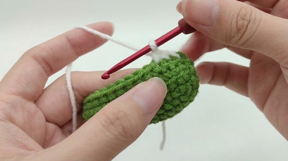 Crochet Watermelon Keychain Pattern 2