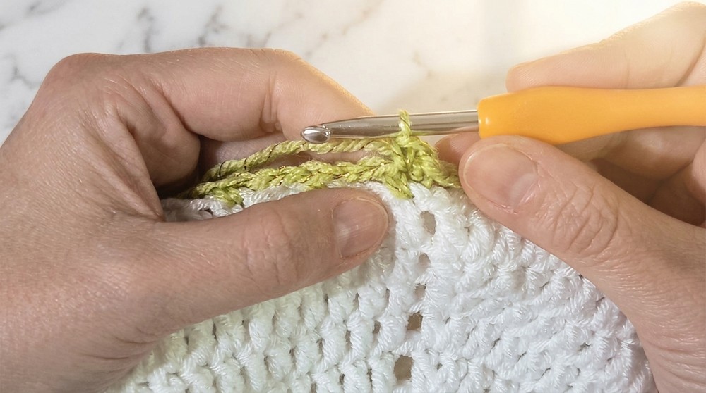 Easy Crochet Bouquet Blanket Pattern 3