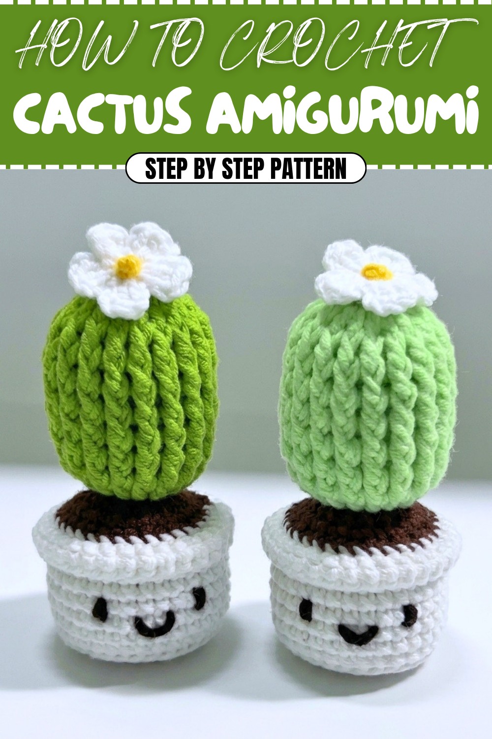 Free Crochet Cactus Amigurumi Pattern