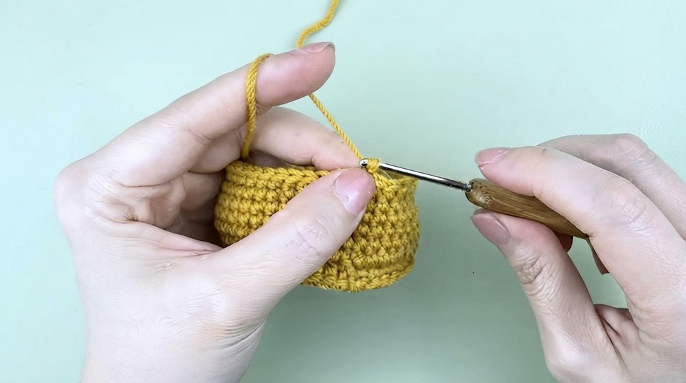 Crochet Cactus Amigurumi Pattern 4