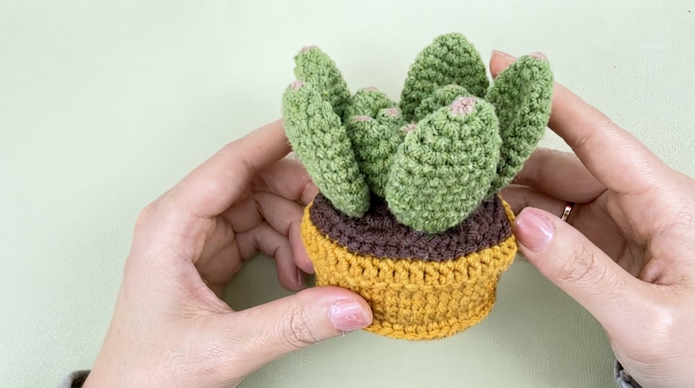 Crochet Cactus Amigurumi Pattern 6