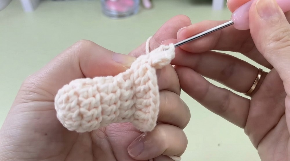 Crochet Carnation Flower Pattern 3