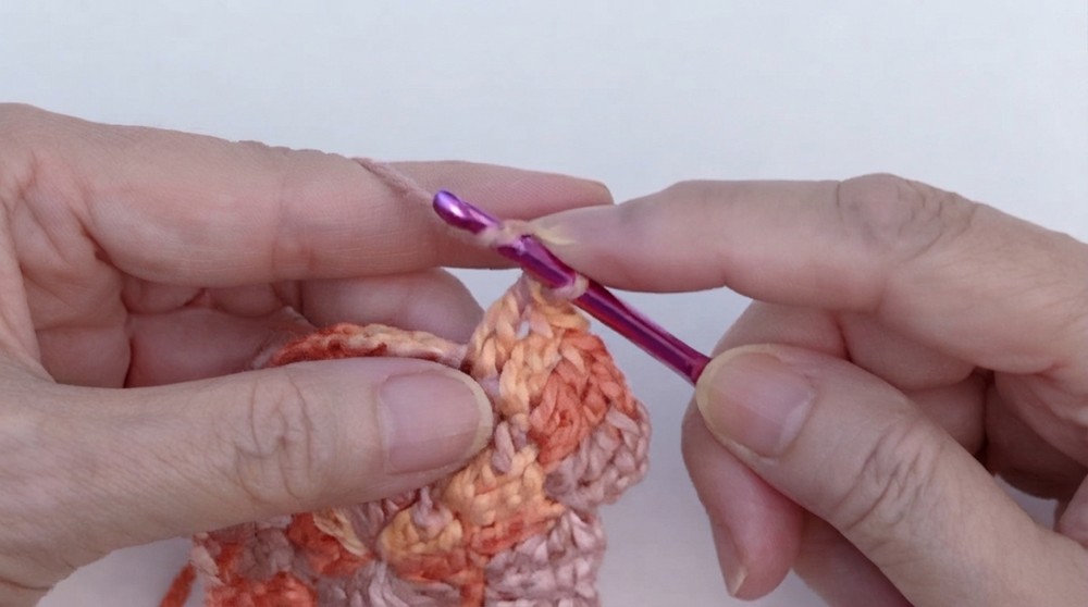 Crochet Thermal Pot Holders Pattern 3