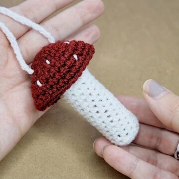 Crochet Mushroom Pouch Pattern 6
