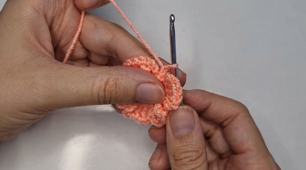Amazing Crochet 5-Petal Flower Pattern 5