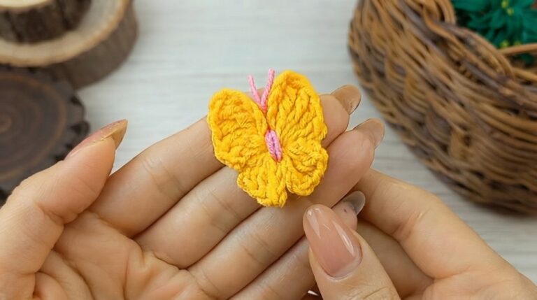 Crochet Beautiful Butterfly Pattern 6
