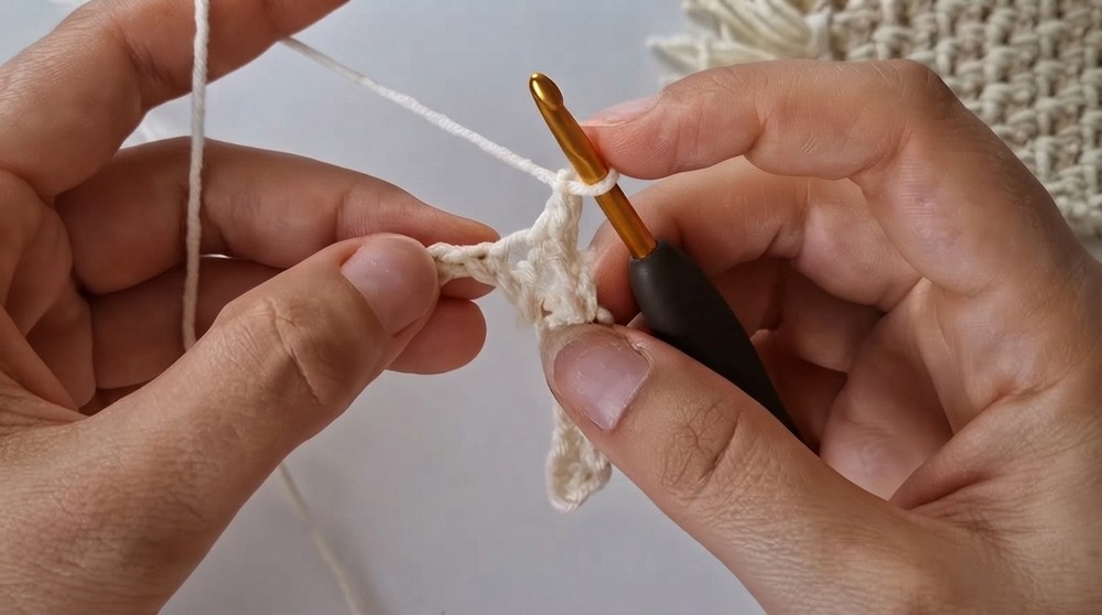 Easy Crochet Mug Rug Pattern 2