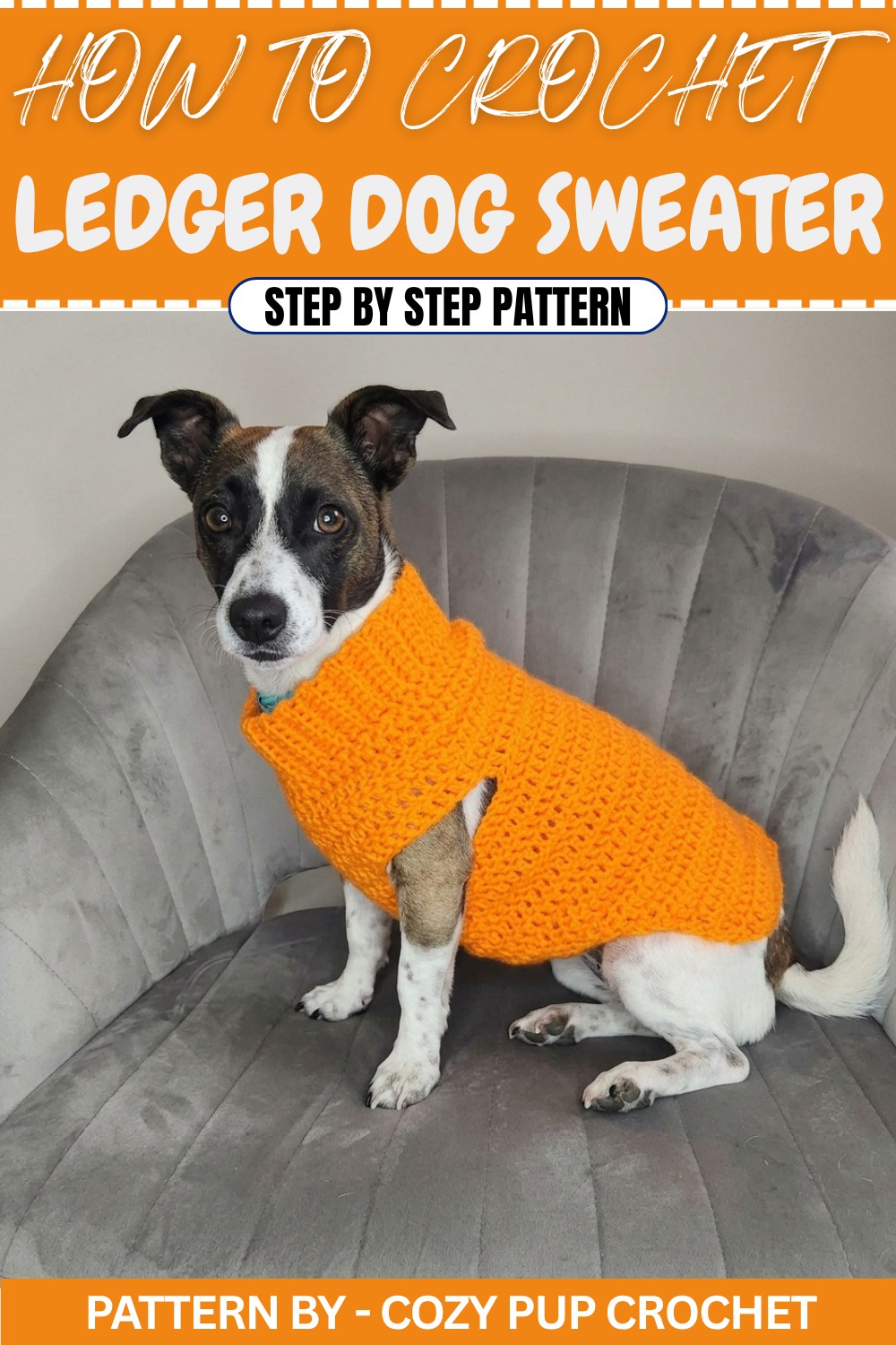 Ledger Dog Sweater Easy Crochet Pattern (1)