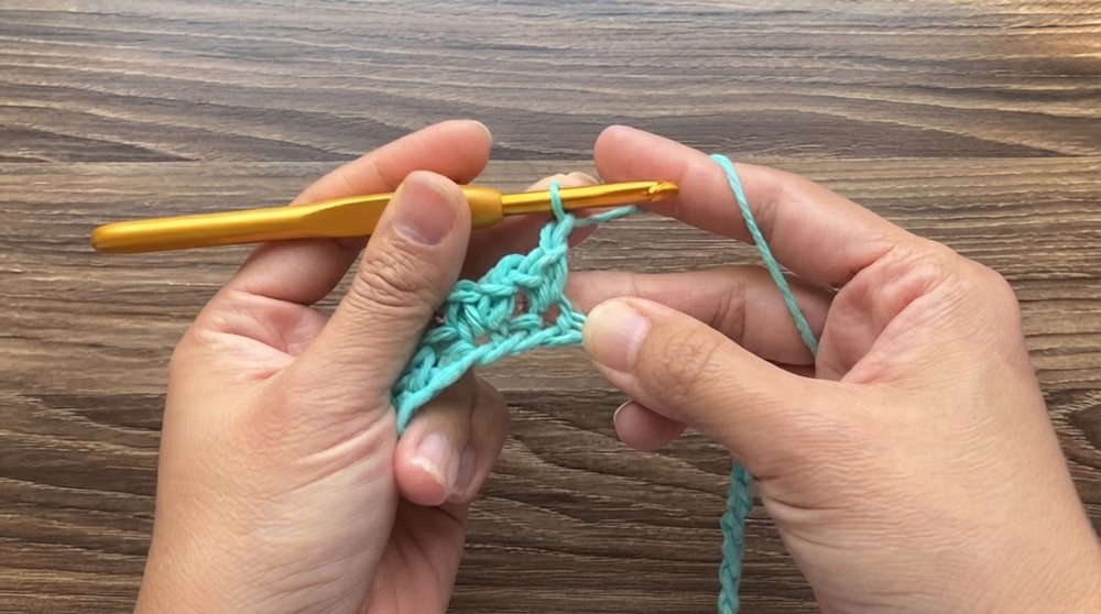 Amazing Crochet Dishcloth Pattern 2