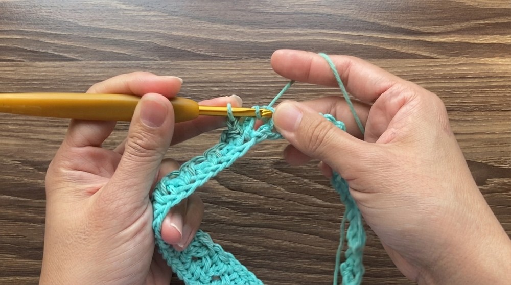 Amazing Crochet Dishcloth Pattern 3