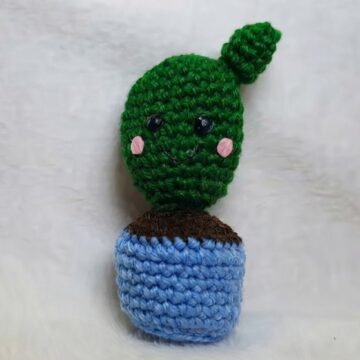 Crochet Amigurumi Cactus Pattern 7