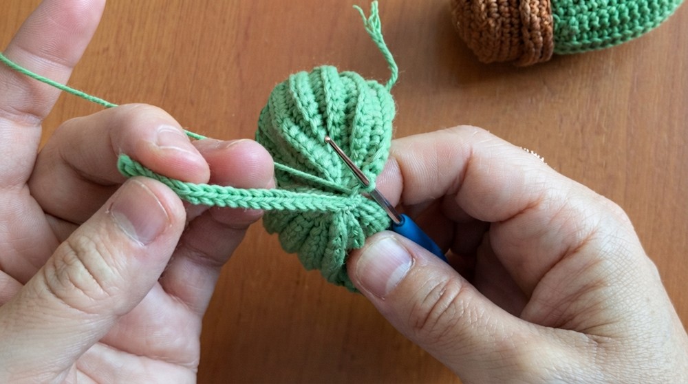 Crochet Cactus Amigurumi Pattern 4