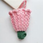 Crochet Flower AirPods Case Pattern 6