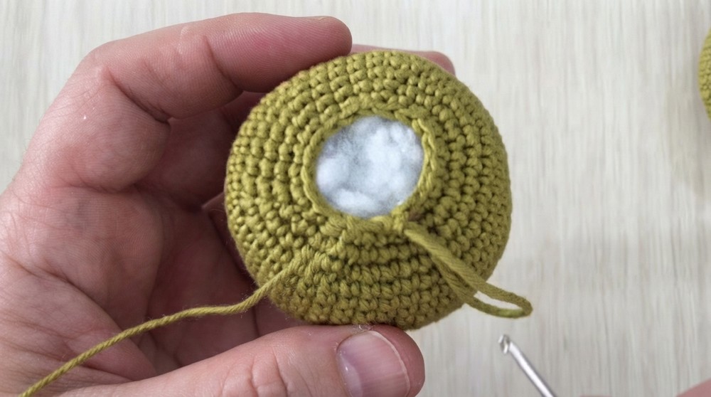 Crochet Kiwi Amigurumi Pattern 4