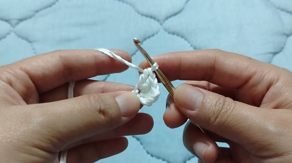 Crochet Seashell Cup Holder Pattern 1