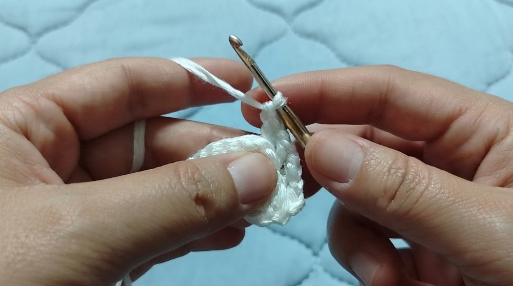 Crochet Seashell Cup Holder Pattern 2