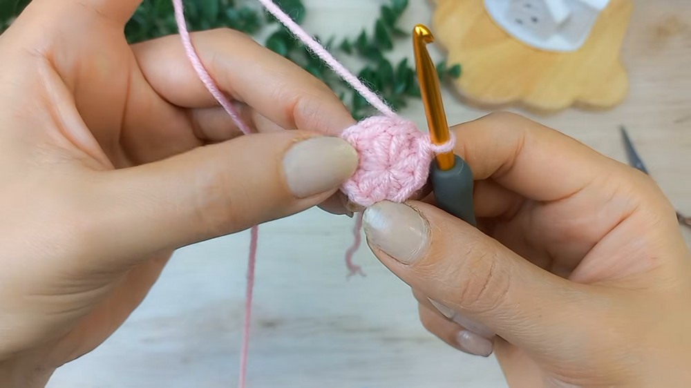 Crochet Strawberry Coaster Pattern 1