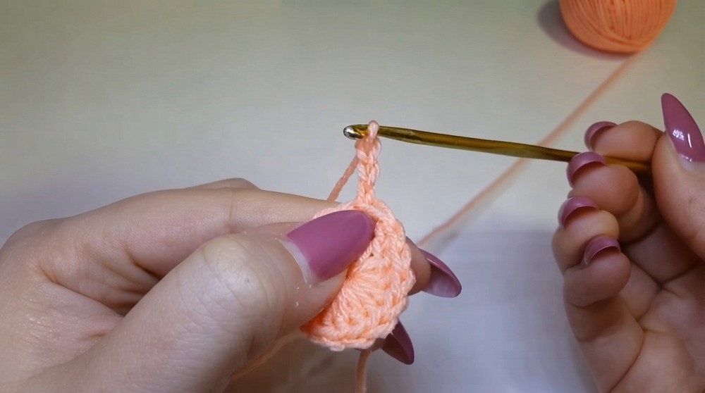 Cute Crochet Large Flower Pattern 2