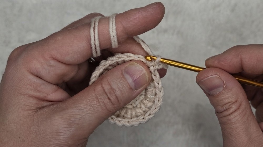 Easy Crochet Sid Coaster Pattern 5
